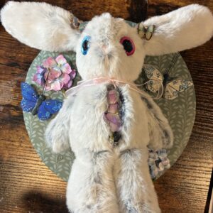 Dissected Rabbit